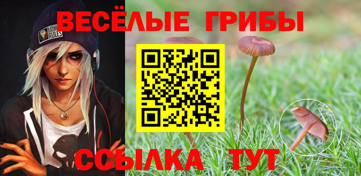 Химки  Псилоцибиновые грибы мицелий  купить   Вход с VPN 